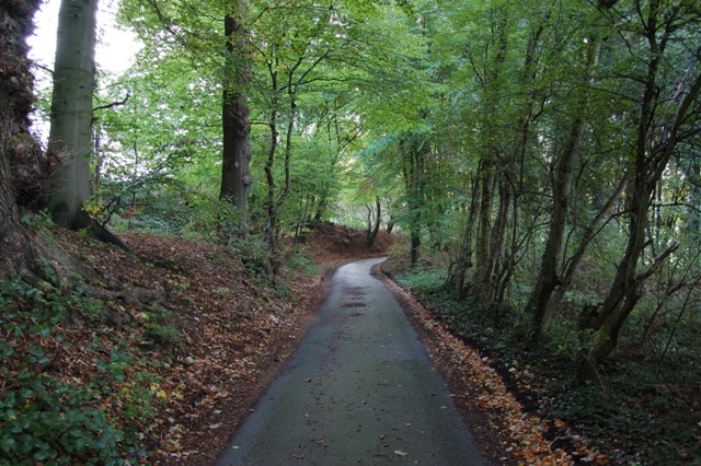 DSC_0002.JPG