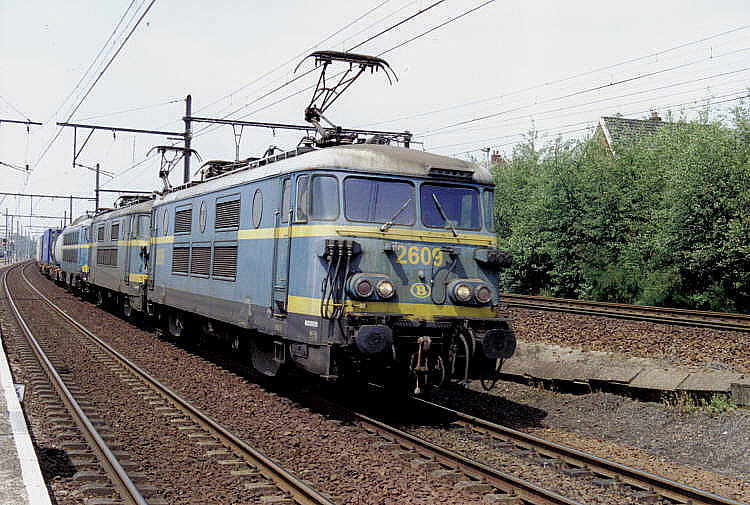 2609+26+20 te Muizen.jpg