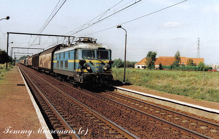 2344 te Hambos.jpg