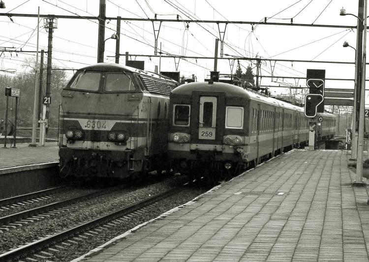 DSC_0072kl.jpg