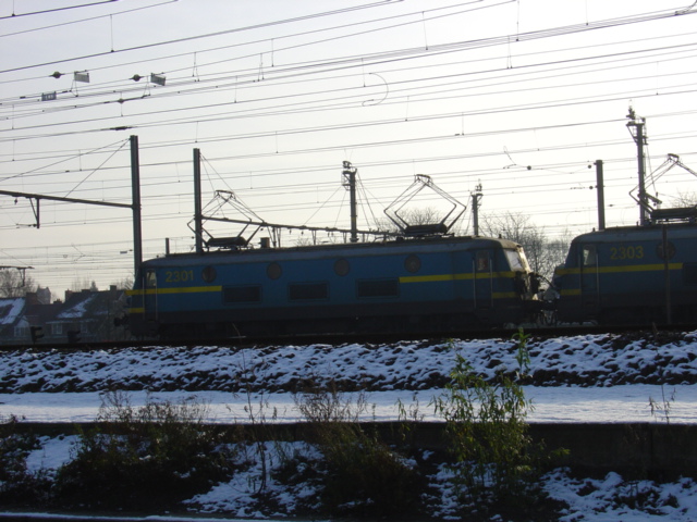 DSC00449-1.JPG