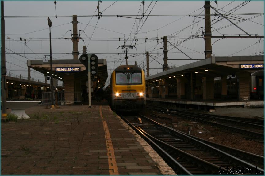 Afbeelding 561.jpg