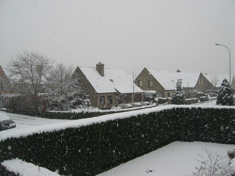 Sneeuw2.jpg