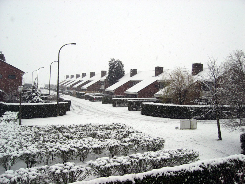 Sneeuw1.jpg