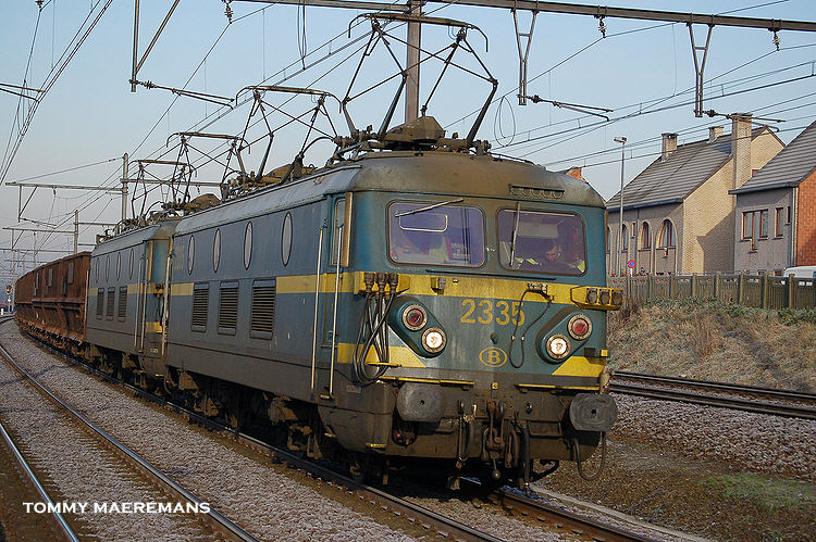 Muizen(2335) 24 januari 2007k.jpg