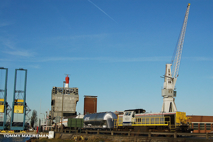DSC_1192kl.jpg
