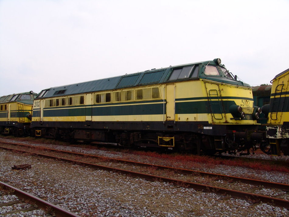 5102.JPG