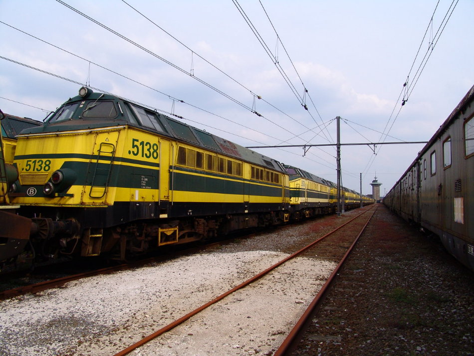 5138.JPG