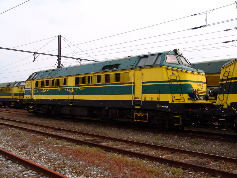 5156.JPG