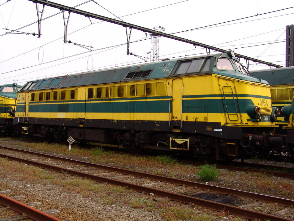 5164.JPG