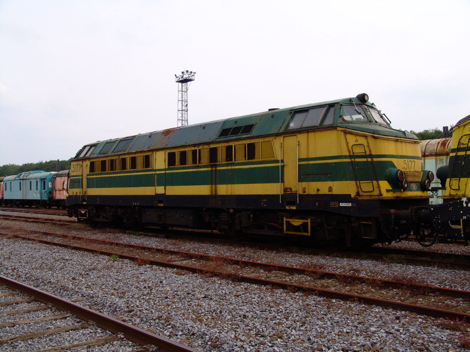 5177.JPG