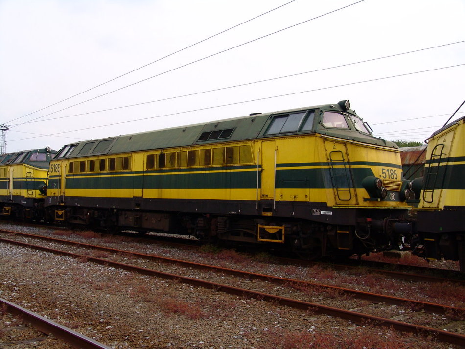 5185.JPG
