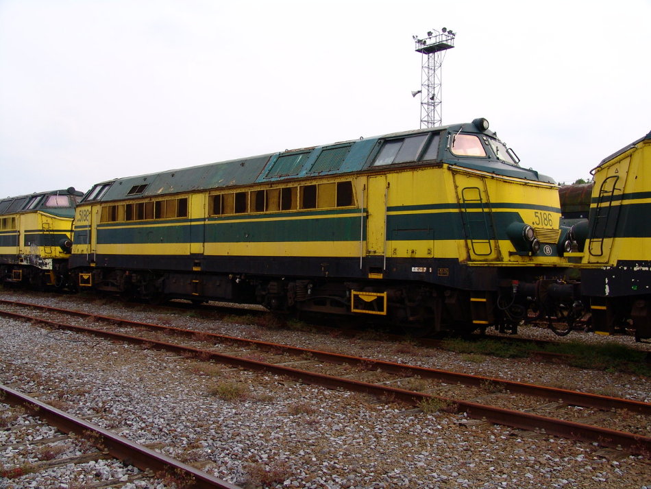 5186.JPG