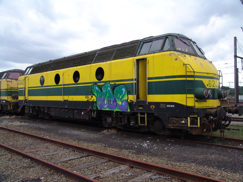 6245.JPG