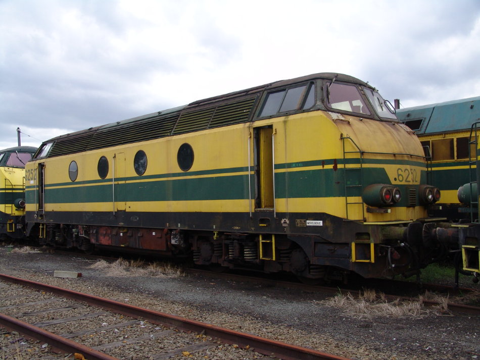 6252.JPG