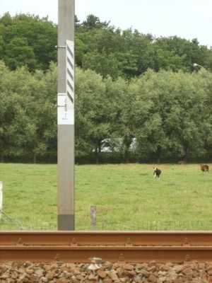 Wachtend op de treintjes die niet zullen komen...