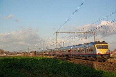 IC 2337.JPG