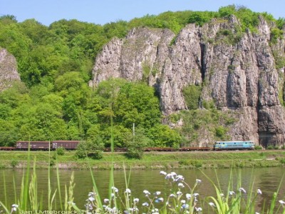 2624.jpg (98.62 KiB) 3903 keer bekeken 2624.jpg