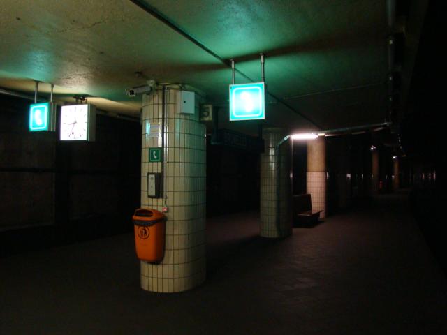 DSC00175.jpg