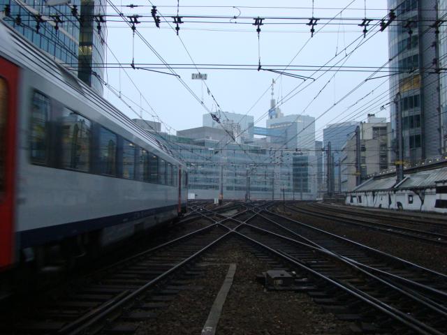 DSC00184.jpg