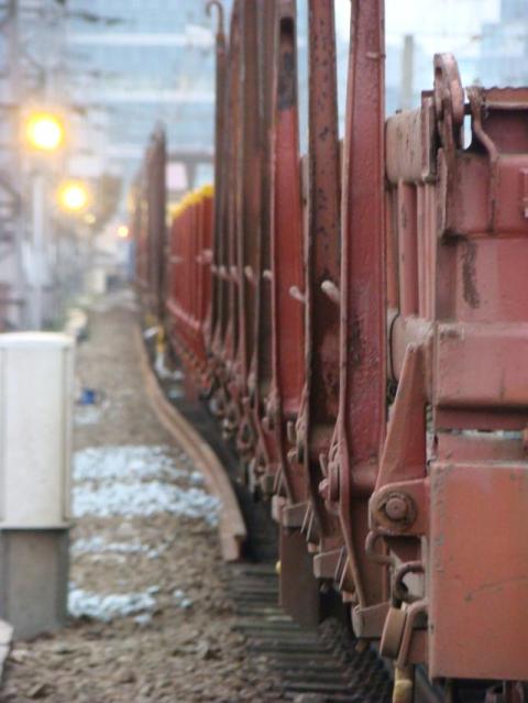 DSC00219 (480 x 639).jpg