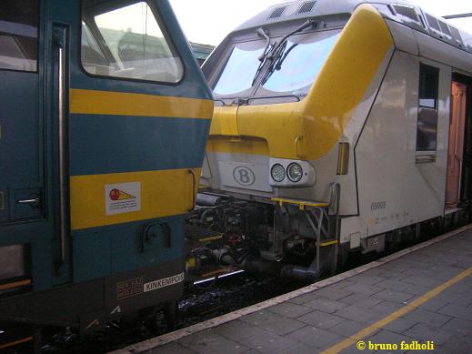 de kameel