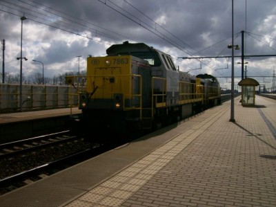 100_2962.jpg (63.99 KiB) 4362 keer bekeken 100_2962.jpg