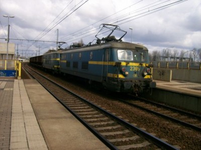 100_2963.jpg (60.99 KiB) 4359 keer bekeken 100_2963.jpg