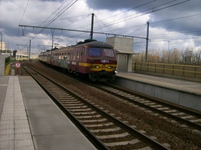 100_2968.jpg (65.84 KiB) 4045 keer bekeken 100_2968.jpg