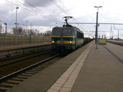 100_2979.jpg (57.9 KiB) 4043 keer bekeken 100_2979.jpg