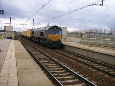 100_2984.jpg (69.47 KiB) 4158 keer bekeken 100_2984.jpg