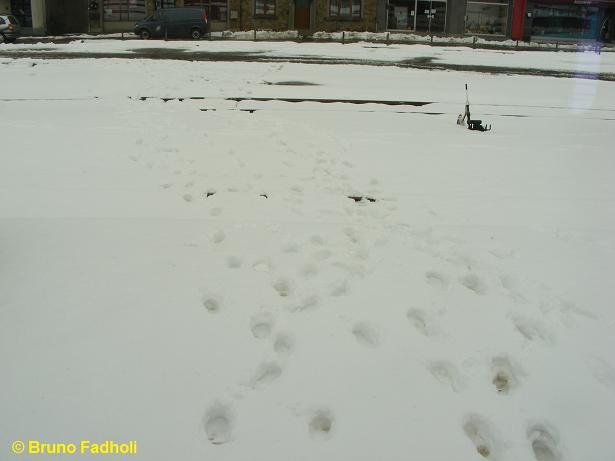 DSCF0106.JPG