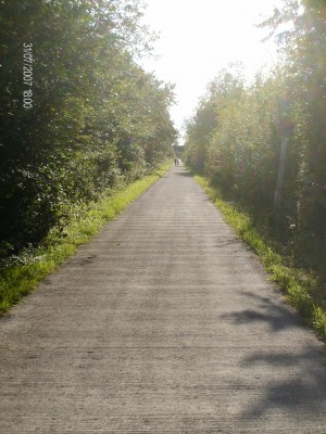 HPIM0308.JPG