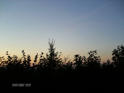 HPIM0337.JPG