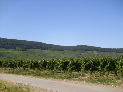 HPIM0536.JPG