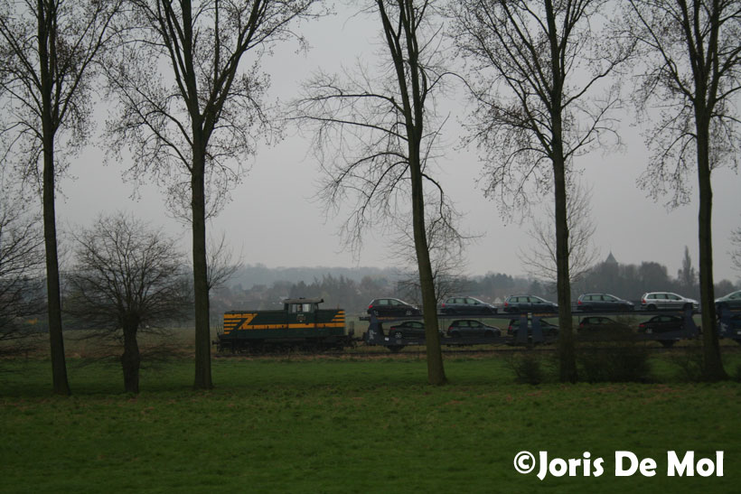 Wat ruist daar door het struikgewas?