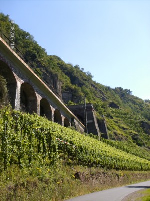 Hier takt de Moselweinbahn aan op de hoofdlijn Trier - Koblenz. Tussen Trier en Reil volgt de spoorlijn niet de rivier, maar loopt buiten het Moezeldal. Het is maar vanaf hier dat we de spoorlijn tot Koblenz langs onze zijde zullen hebben. Op deze plaats neemt de spoorlijn een short cut dmv een tunnel van 500m, zodat het een meander van de Moezel kan afsnijden. Wij zijn wel verplicht die Moezel te volgen en rijden ze een paar km extra.