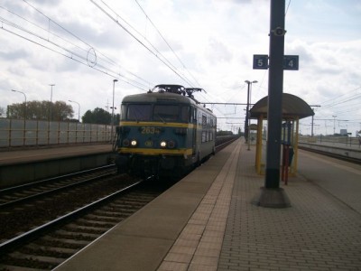 100_0413.jpg