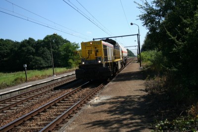 B 7733_langdorp_240708.JPG