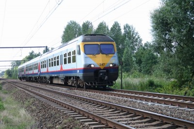 Z beverst 347_240708.JPG