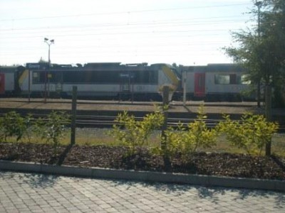 S6300497.JPG
