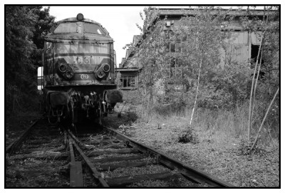 5131 in zwartwit.jpg