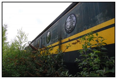 groene 62.jpg