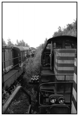 types 84 en 73.jpg