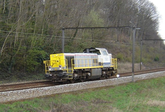 7861.jpg