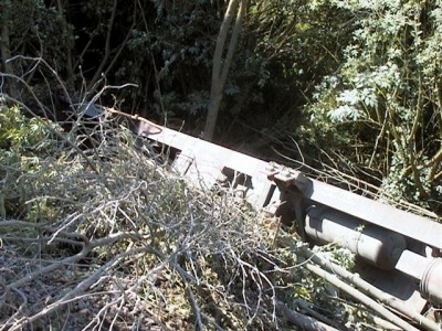 DR 005.jpg
