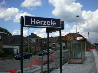 DSCN3101 (Medium).JPG