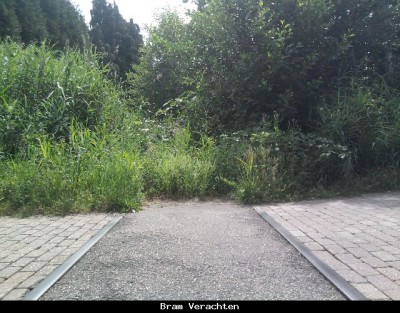 Overweg getrokken richting kazerne!<br />Begroeiing!!!!