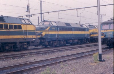 01  6003.jpg