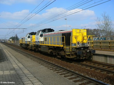 efg_P1600375.JPG